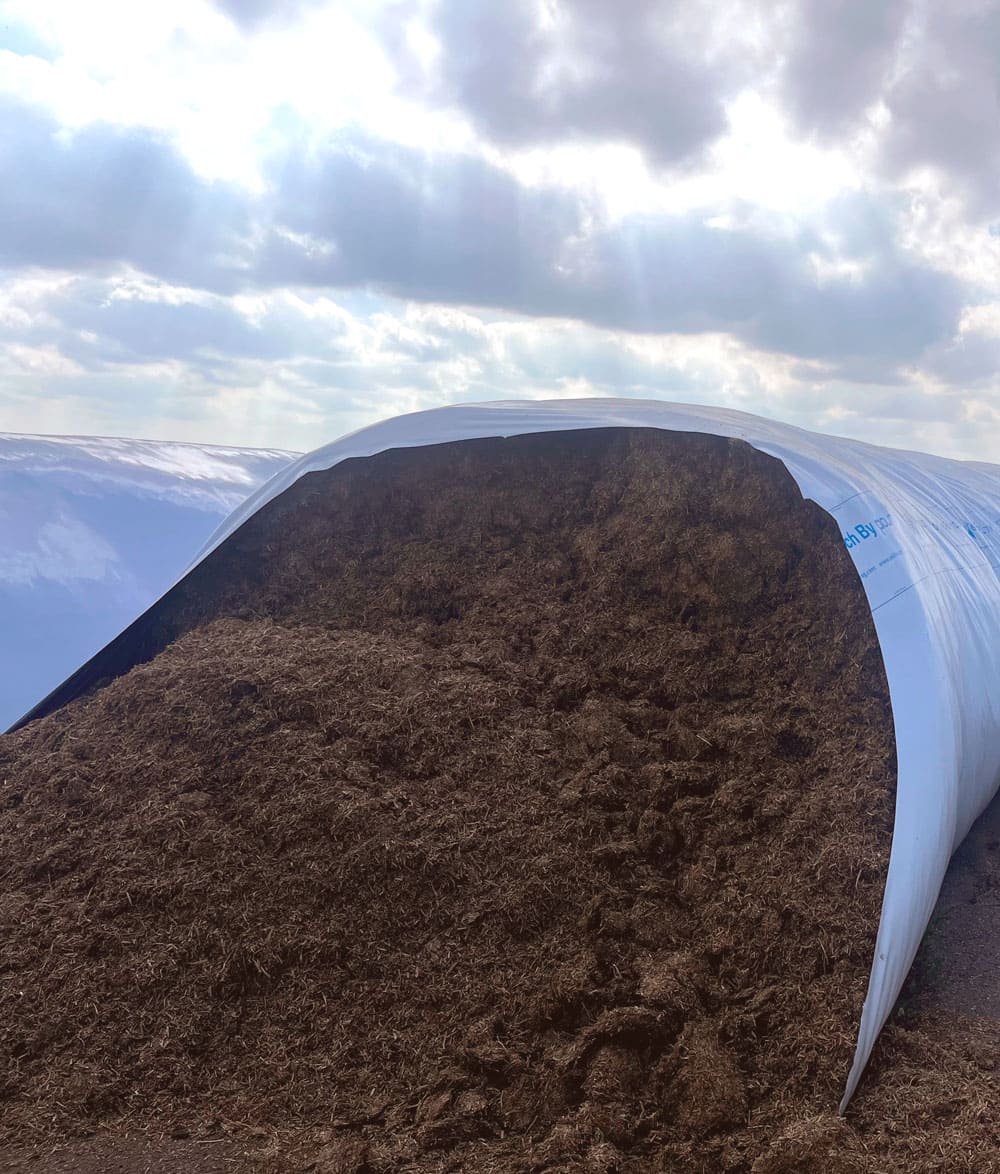 Silobag-bolsas-ensilaje-y-grano-agricultura-3